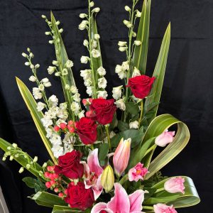 576a700e-678a-4258-856a-c85bb41be6e8