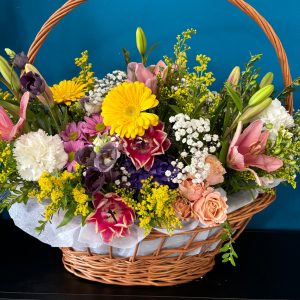 9c76eb44-dfe0-4a7c-854e-519fcd86db78