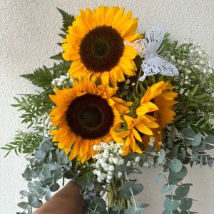 ca1f58a5-5c4a-47b6-997a-4461df7bb2ad